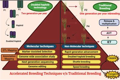 Green revolution to genome revolution: driving better resilient crops against environmental instability